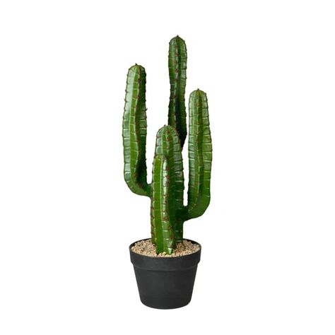 Williston Forge 45" Artificial Green Finger Cactus in 8" Black Pot | Wayfair Candelabra Cactus, Potted Cactus, Cactus Plant Pots, Faux Cactus, Planters Garden, Artificial Plants And Trees, Simple Signs, Floor Plants, Cactus Plant