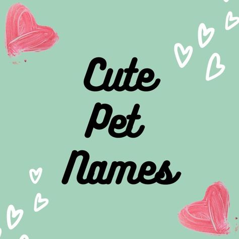 A list of endearing nicknames for your boyfriend or girlfriend that you can use as their contact name in your phone or in person. Pet names are a great way to become more intimate or to show your love in a romantic way. What To Call Your Boyfriend, Nicknames For Couples, Pet Names For Girlfriend, Endearing Nicknames, Nicknames For Girlfriends, Girlfriend Relationships, Pet Names For Boyfriend, Names For Girlfriend