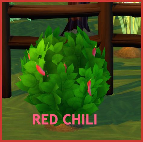 HARVESTABLE RED CHILI | icemunmun on Patreon Grocery Market, Custom Recipe, Best Sims, Island Living, Cooking Ingredients, Red Chili, Sims 4 Cc Finds, Seed Packets, Eating Raw