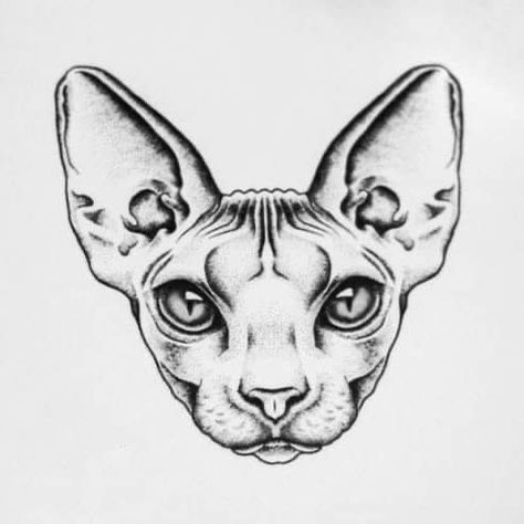 Sphynx Cat Drawing Tattoo, Cat Drawing Tattoo, Sphynx Cat Drawing, Sphinx Cat Tattoo, Sphynx Tattoo, Sphinx Art, Snake Sleeve, Chest Tattoo Designs Female, Fantastic Tattoo