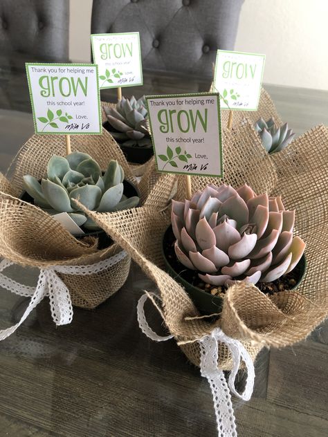 Succulents Thank You Gifts, Small Plants Gift Ideas, Manager Thank You Gifts, Small Appreciation Gifts For Teachers, Thank You Plants Appreciation Gifts, Small Thank You Gifts For Teachers, Thank You Centerpieces, Plants For Teachers Gift, Thank You Succulent Gift