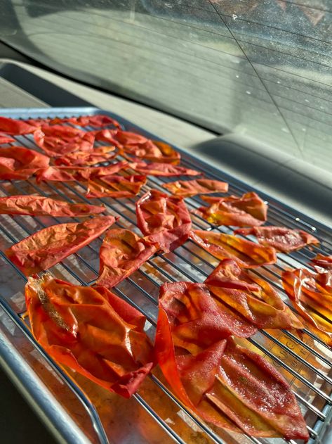 Drying Tomato Skins In Oven, Drying Tomato Skins, How To Dehydrate Tomatoes, Tomato Powder How To Make, Dehydrating Tomatoes, Peel Tomatoes, Preserved Food, Tomato Powder, Dehydrated Foods