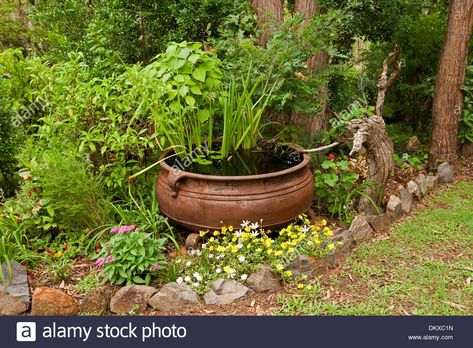 Potager Garden, Colourful Flowers, Tropical Flower, Aquatic Plants, Water Feature, Raised Garden Beds, Raised Garden, Tropical Flowers, Garden Beds