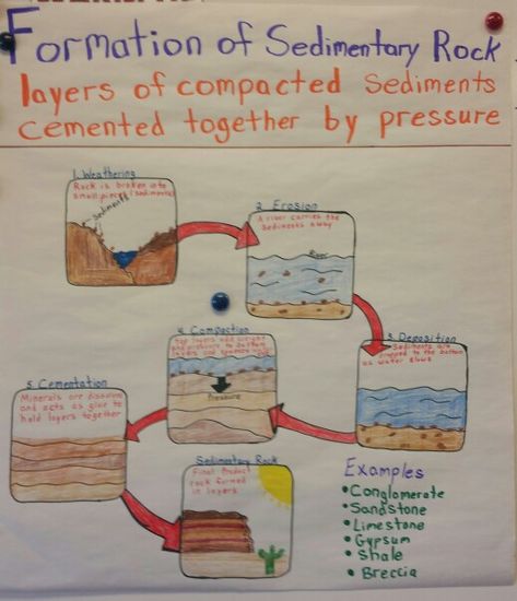 Formation of Sedimentary Rock anchor chart Sedimentary Rock Formation Anchor Chart, Formation Of Sedimentary Rocks, Sedimentary Rock Anchor Chart, Rock Anchor Chart, Science Chart, Rock Science, Earth Science Lessons, Science Anchor Charts, Middle School Science Experiments