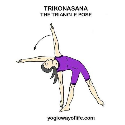 Yoga Poses - Asana List with Images - Yogic Way of Life Triangle Pose Yoga, Yoga Asanas Names, Power Yoga Poses, Shape Exercise, Arts And Crafts For Kids Easy, Yoga Cartoon, Simple Poses, Triangle Pose, Yoga Spiritual