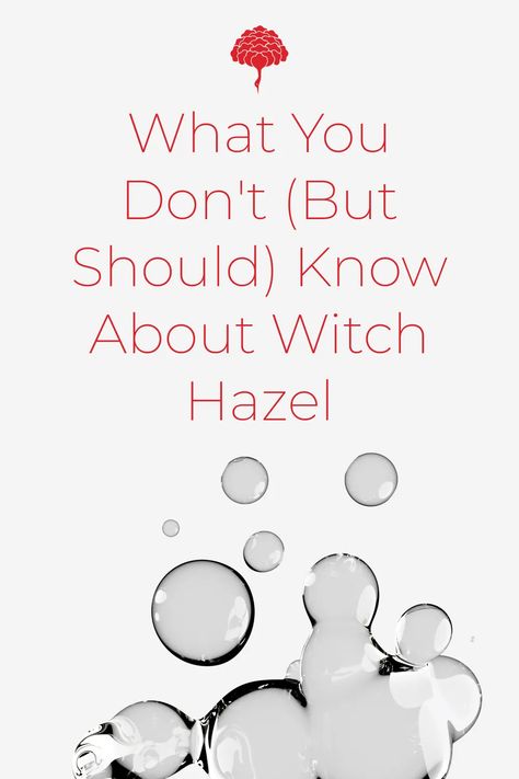 Since forever, witch hazel has been used as an astringent to tighten pores and reduce acne. But in recent times, it got a lot of bad press. Read on to find out if it's good or bad for your skin Witch Hazel Benefits, What Is Witch Hazel, Benefits Of Witch Hazel, Cat Acne, Witch Hazel Uses, Witch Hazel For Skin, Shave Products, Baking Soda Cleaning, Reduce Acne