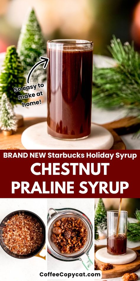 Unique Coffee Syrup Flavors, Starbucks Copycat Syrup, Starbucks Chestnut Praline Latte Recipe, Home Made Coffee Syrup, Chestnut Praline Syrup Recipe, Christmas Coffee Syrup, Starbucks Syrup Recipes, Coffee Syrups Homemade, Chestnut Praline Latte Starbucks