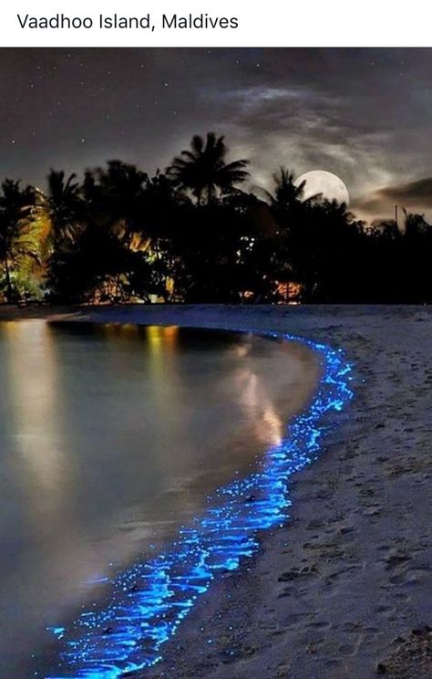 Maldives Wallpaper, جزر المالديف, Maldives Vacation, Maldives Beach, Sea Of Stars, Beach At Night, Maldives Island, Beach Night, City Aesthetic