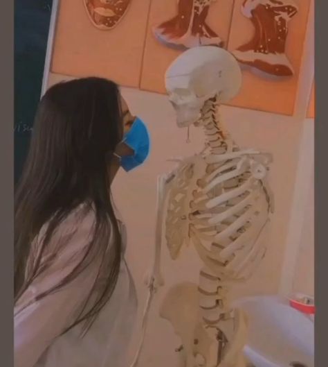 Skeleton, Medical