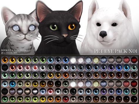 Sims 4 Cats and Dogs Expansion required / Pet Eyes Sims 4 Pet Eyes Cc, Sims 4 Dog Eyes Cc, Sims 4 Pet Eyes, Sims 4 Pets Mod, Cc Makeup, Sims Pets, Sims 4 Cc Eyes, Sims 4 Body Mods, Sims 4 Expansions