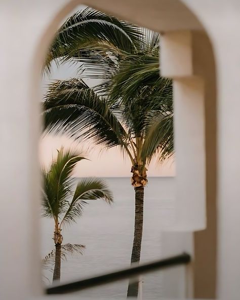 Palmtrees makes me happy 🌴 Palm Aesthetic, Aesthetic Playlist, Tropical Aesthetic, Mexico Art, Playlist Covers, Ebook Cover, August 19, Painting Art Projects, Photography Inspo