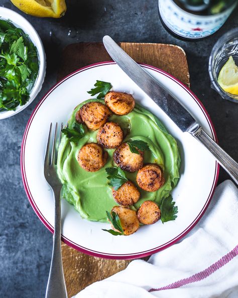 Seared Scallops with Cauliflower & Spinach Purée | PrimalGourmet Primal Gourmet, Monkfish Recipes, Whole30 Easy, Spinach Puree, Spinach Recipes Healthy, Fresh Scallops, Whole 30 Keto, Whole 30 Snacks, Whole 30 Challenge