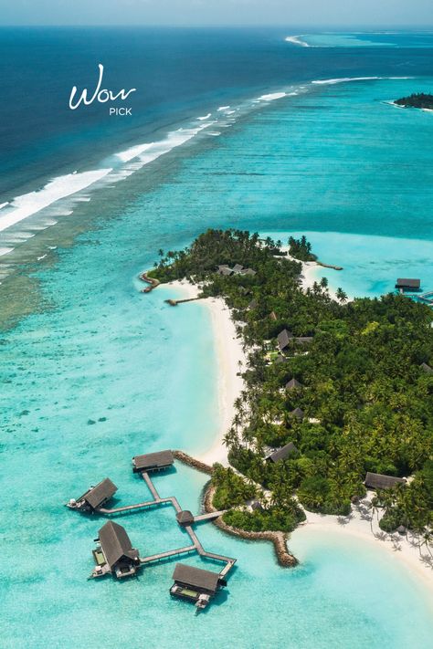 This chic all-villa resort brings the timeless luxury of the One&Only brand to the floating serenity that is the Maldives. Take your pick of 12 pristine beaches dotted around this secluded sanctuary. #oneandonly #oneandonlyresorts #oneandonlyreethirah #reethirah #maldives #resort #overwater #villa #island #beach #tropical #indianocean #kiwicollection #carewhereyoustay Overwater Villa, Tropical Vegetation, Caribbean Destinations, Water Villa, Maldives Resort, Beach Hotel & Resort, Caribbean Vacations, Timeless Luxury, The Maldives