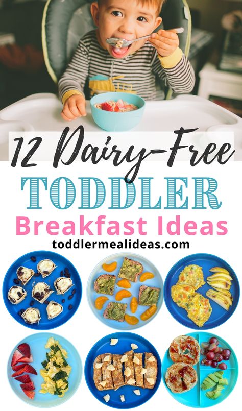 A list of dairy-free toddler breakfasts that are mom and toddler approved. Real, easy, quick, and healthy dairy-free toddler breakfasts ideas. Even if your toddler isn't dairy-free they are sure to love these fun breakfast ideas! #toddler #toddlerfood #dairyfree Non Dairy Breakfast, Non Dairy Breakfast Ideas, Breakfast Ideas Toddler, Dairy Free Recipes For Toddlers, Breakfast For Toddlers, Toddler Breakfast Ideas, Dairy Free Recipes For Kids, Dairy Free Baby, Mom And Toddler