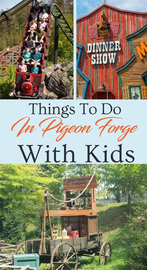 Things To Do In Tennessee With Kids, Gatlinburg With Kids, Things To Do In Great Smoky Mountains, Tennessee Vacation With Kids, Adventures With Kids, Things To Do In Gatlinburg Tennessee, Things To Do In Gatlinburg With Kids, Gatlinburg Tennessee Things To Do In, Gatlinburg Tennessee With Kids