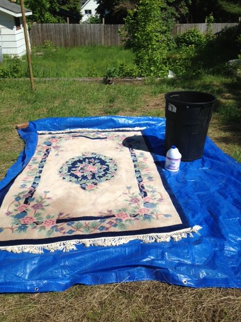 Dye Rug Diy, How To Dye Rugs Diy, Rug Makeover Diy, Dye Rug With Rit, Over Dyed Rug, Paint Rug Diy, Painting A Rug Diy, Painting Rugs Diy, How To Dye A Rug