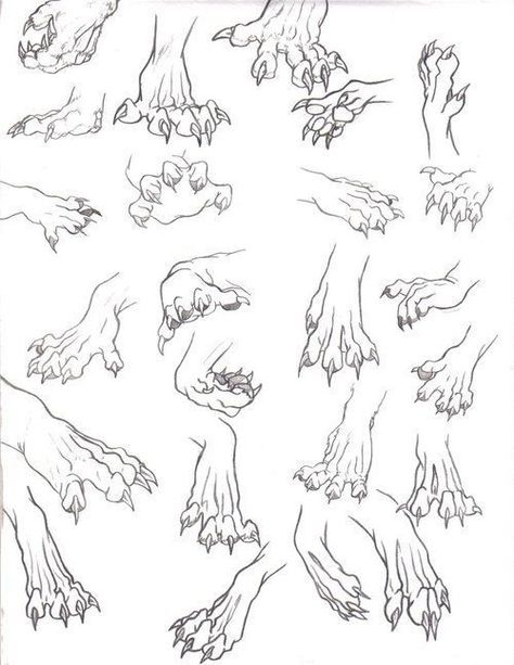 Dragon feet Dragon Leg Reference, Dragon Head Angles, How To Draw Anthropomorphic Animals, Creature Anatomy, Creature Reference, Dragon Poses, Art Bases, Drawing Bases, Drawing Help