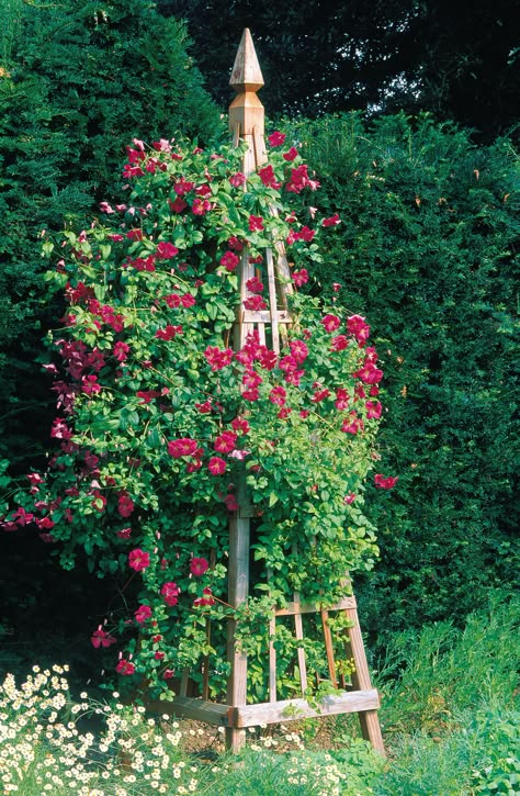 Obelisk Trellis, Diy Garden Trellis, Garden Obelisk, Vertical Herb Garden, Tower Garden, Garden Vines, Diy Pergola, Gardening Landscaping, Garden Trellis