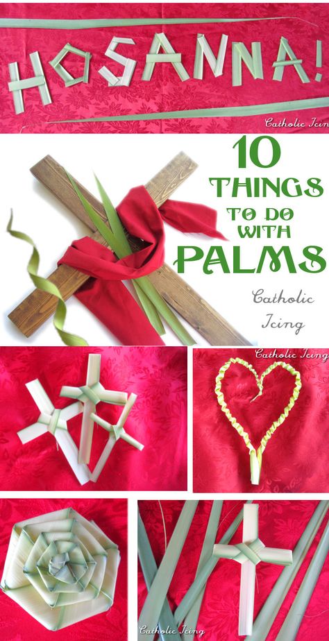 10 Things to do with palms for Palm Sunday! Palm Sunday Activities, Catholic Icing, Palm Sunday Decorations, Catholic Lent, Palm Cross, Palm Sunday Crafts, Catholic Crafts, Tafel Decor, Religious Crafts