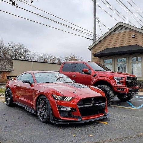 Ford Raptor Mobil Off Road, Shelby Gt 500, 2010 Ford Mustang, Ford Mustang Cobra, Mustang Gt500, Shelby Mustang, Ford Mustang Car, Ford Mustang Shelby Gt500, Mustang Cobra