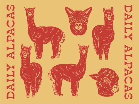 Illustration for Daily Alpacas by cmpt_rules Alpaca Illustration, Alpaca Drawing, Capstone Project, Illustration Procreate, North Vancouver, Graphic Design Inspo, Design Jobs, Typography Letters, Typography Lettering