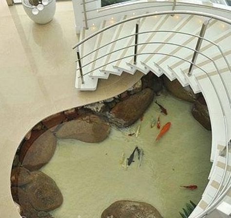 want Indoor Pond, Kolam Koi, Home Aquarium, Seni Dan Kraf, Inspiration Kitchen, Remodel Inspiration, Aquarium Design, Remodel Kitchen, Fish Pond