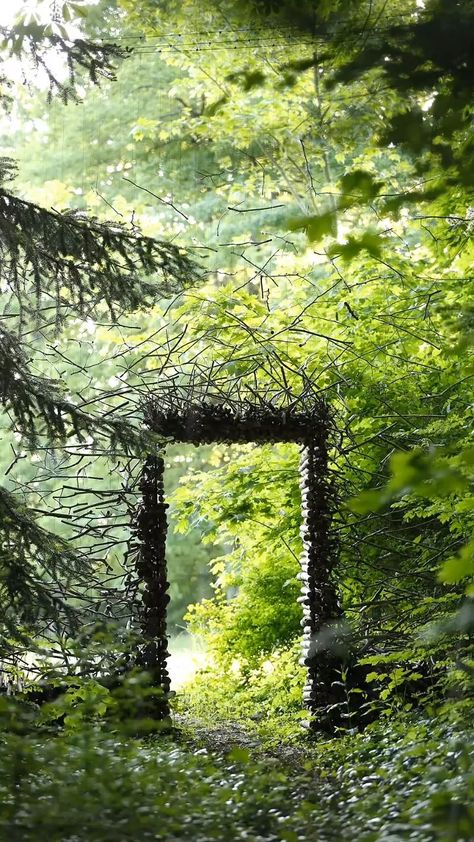 Magic Gates into the Forest [Video] | Landscape design, Landscape, Fantasy landscape Yggdrasil Art, Forest Landscaping, 10th Kingdom, Mystery Garden, Elf Witch, Forest Video, Lost Forest, Campus Aesthetic, Cob Home