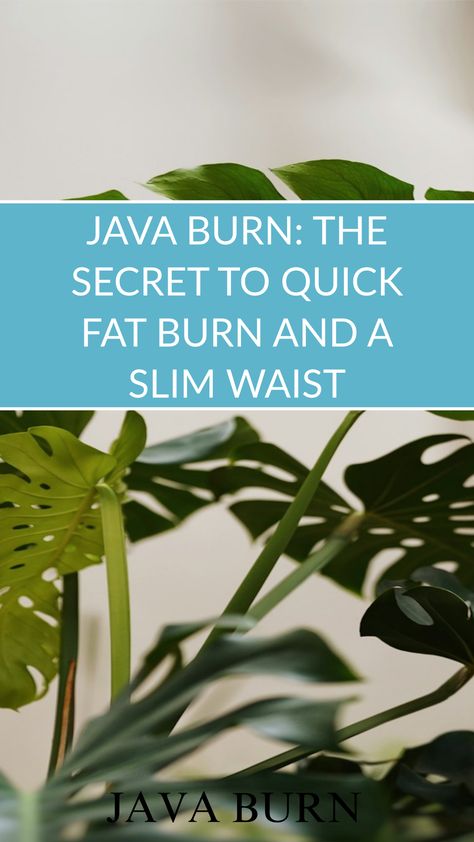 Transform your coffee into a fat-burning powerhouse with Java Burn. Burn Fat Quick, Fat Burning Supplements, Java Burn, Slim Waist, Java, Fat Burning, Coffee