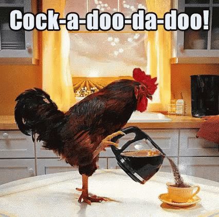 Good Morning Coffee GIF - GoodMorning Coffee Chicken - Discover & Share GIFs Gif Café, Pouring Coffee, Coffee Gif, Good Morning Coffee Gif, Morning Gif, Morning Greetings Quotes, Good Morning Gif, Good Morning Coffee, Gif Pictures