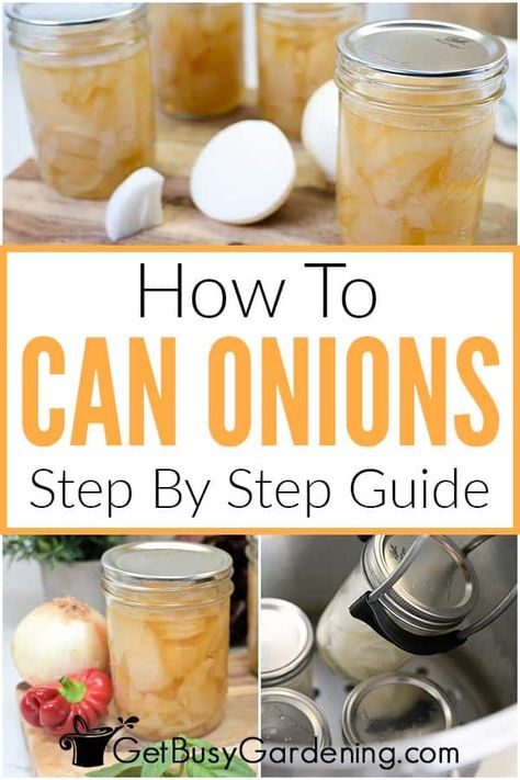 Canning Onions, Can Onions, Canning Guide, Water Bath Canning Recipes, Pressure Canning Recipes, Canning Fruit, Home Canning Recipes, Canning Vegetables, Canning Food Preservation