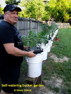 Bucket Gardening 5 Gallon, Bucket Garden, Bucket Planters, Bucket Gardening, Vegetable Garden Tips, Building A Raised Garden, Garden Vegetable, Container Gardening Flowers, Recycled Garden