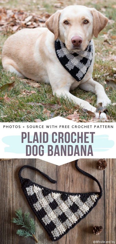 Festive Dog Scarves Free Crochet Patterns - Free Crochet Patterns Crochet Dog Bandana, Dog Bandana Pattern, Dog Sewing, Crochet Dog Clothes, Plaid Crochet, Bandana Pattern, Crochet Dog Patterns, Crochet Dog Sweater, Crochet Bandana