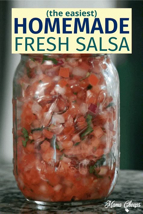 Fresh Tomato Salsa Recipe (Pico de Gallo Chipotle Copycat) | Mama Cheaps® Fresh Tomatoes Salsa Recipe, Recipe For Salsa With Fresh Tomatoes, Tomato Cucumber Salsa Recipe, No Cook Salsa For Canning, How To Can Fresh Salsa, Salsa Recipe With Fresh Tomatoes No Cilantro, No Cook Salsa Recipe, Fresh Tomatoes Salsa, Freezing Fresh Salsa