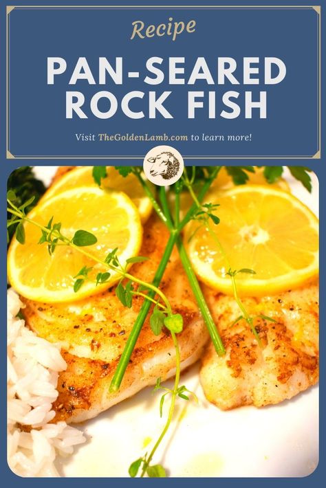 Rock Cod Recipe, Rockfish Recipe, Cod Fillet Recipes, Rockfish Recipes, Fish Fillet Recipe, Rock Fish, Cod Fish Recipes, Pan Fried Fish, Fried Cod