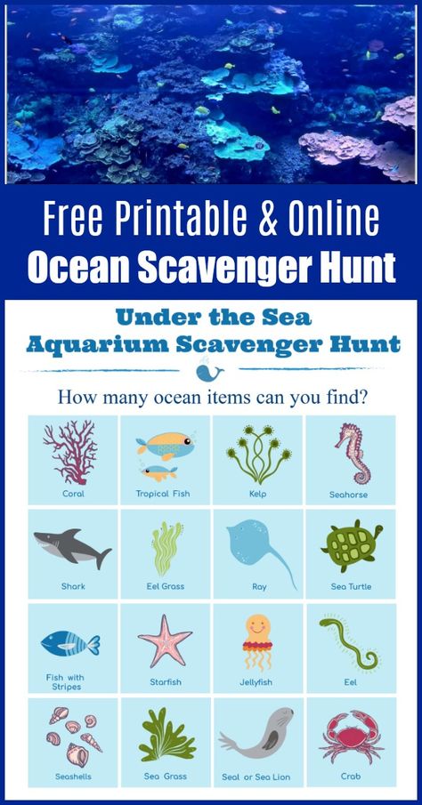 FREE printable Under the Sea ocean scavenger hunt for kids - can be done as a virtual scavenger hunt using live webcams or take it to an aquarium for an in-person hunt! Under The Sea Treasure Hunt, Under The Sea Free Printables, Aquarium Scavenger Hunt Printable Free, Under The Sea Scavenger Hunt, Ocean Scavenger Hunt, Aquarium Scavenger Hunt, Online Scavenger Hunt, Virtual Scavenger Hunt, Scavenger Hunt Template