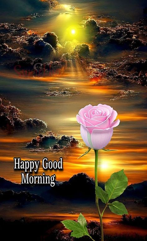 Good Morning Status, Good Morning Wishes Friends, Morning Gifs, Good Morning Krishna, Daily Wishes, Latest Good Morning, Morning Status, Good Morning Beautiful Gif, Flowers Quotes