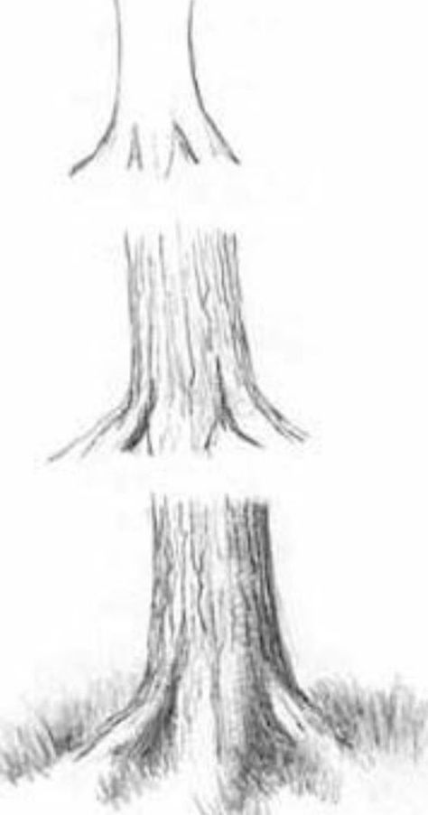 Draw Trees, Boom Kunst, Drawing Tutorials For Beginners, Drawing Eyes, Drawing Hair, Drawing Faces, Drawing For Beginners, Pencil Art Drawings, Step Drawing