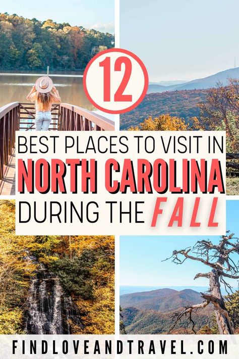 Fall Hikes, North Carolina Vacations, East Coast Usa, North Carolina Travel, Nc Mountains, Scenic Road Trip, Los Angeles Travel, Fall Camping, North Carolina Mountains