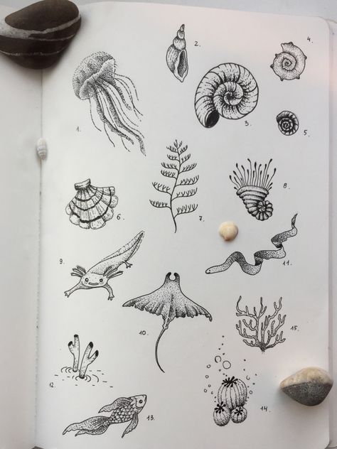 Sea Sketches, Aquatic Tattoo, Dragonfly Tattoo Design, Ribcage Tattoo, Sea Tattoo, Water Tattoo, Ocean Tattoos, Doodle Tattoo, Dragonfly Tattoo