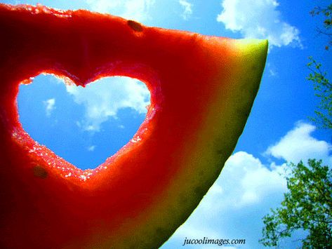 Most Favorite Food EVER!!!!!!!!!!!! It definately has my heart. Watermelon Heart, Best Summer Desserts, I Need Vitamin Sea, Hello July, I Love Heart, Foto Tips, My Funny Valentine, Sweet Summertime, Heart To Heart