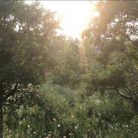 Bushes Aesthetic, Six Feet Under, English Countryside, Nature Aesthetic, Pretty Places, Green Aesthetic, Art Plastique, Mother Earth, Beautiful World