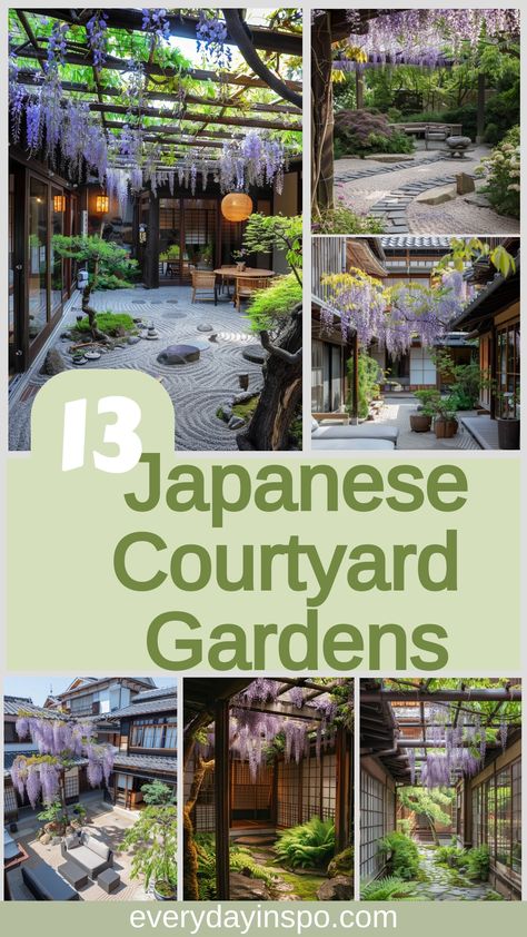 Embrace serenity in these calm Japanese courtyard gardens. Japanese Container Garden, Mini Japanese Garden, Japanese Maple Tree Landscape, Japanese Courtyard Garden, Japanese Garden Backyard, Japanese Courtyard, Japanese Gardens Design Ideas, Small Japanese Garden, Japanese Garden Landscape