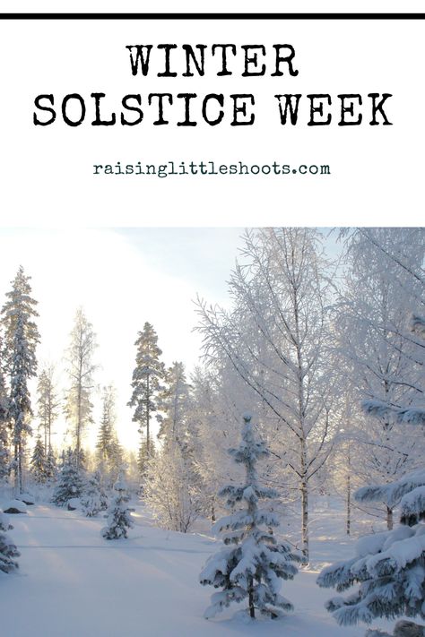 Winter Solstice Tree, Winter Equinox, December Lesson Plans, December Solstice, Winter Solstice Celebration, December Lessons, Solstice And Equinox, Learning Organization, Solstice Celebration