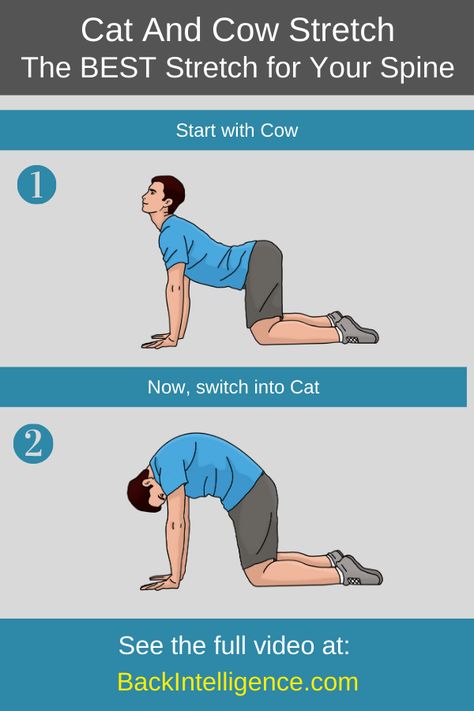 In this video, Dr. Oliver will show you how to do the Cat and Cow Stretch. The Cat-Cow exercise is one of the best spinal stretches out to alleviate back pain. Spinal Stretches, Cat Cow Exercise, Stretch For Back, Cat And Cow, Extreme Lower Back Pain, Severe Lower Back Pain, Cat Cow Pose, Cat Cow, Piriformis Stretch