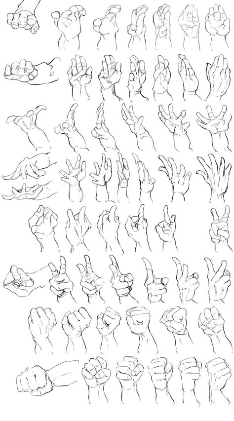 Hand 360 Reference, Hand Gripping Reference, Hand Gestures, Hand Drawing Reference, Human Anatomy Art, Body Reference Drawing, Hand Reference, Figure Drawing Reference, Anime Drawings Tutorials