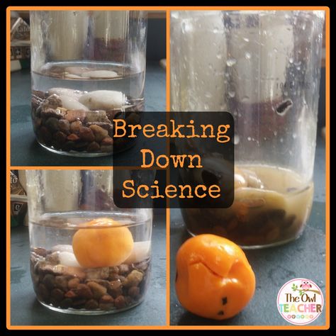 Breaking Down Science with this hands-on weathering and erosion experiment! Erosion Activities, Weathering And Erosion, 4th Grade Science, 6th Grade Science, 5th Grade Science, Earth And Space Science, High School Science, World Geography, Elementary Science