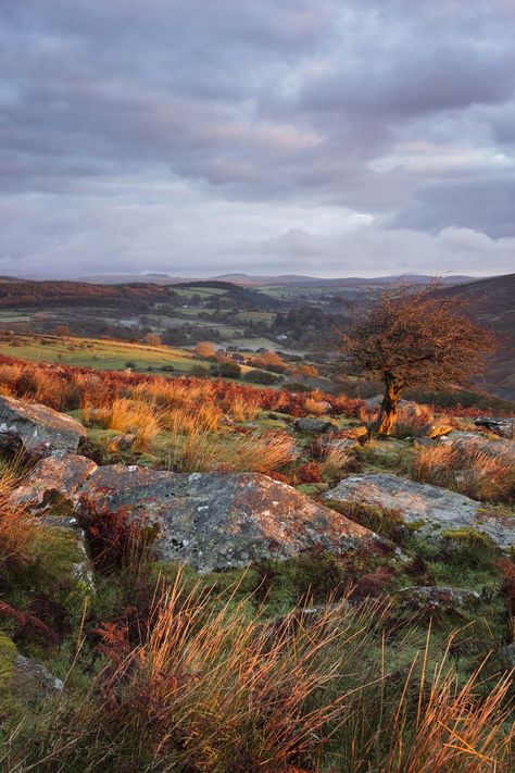 Dartmoor National Park #walking #Dartmoor #bluechipholidays Dartmoor National Park, Autumn Breeze, Crisp Autumn, Dark Autumn, Pretty Landscapes, Art Photos, Isle Of Skye, Pretty Places, A New Day