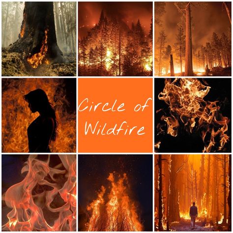 Wildfire Druid Aesthetic, Circle Of Wildfire Druid, Eladrin Druid, Wildfire Druid, Firbolg Druid, Fearne Calloway, Druid Aesthetic, Dnd Druid, Fantasy Aesthetics