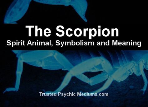 Scorpion Spirit Animal, Scorpion Spiritual Meaning, Animal Totem Spirit Guides, Spirit Animal Meaning, Totem Animals, Voodoo Priestess, Learn Yoga Poses, Animal Meanings, Spirit Animal Totem