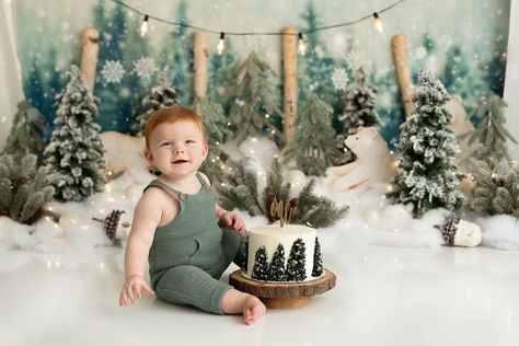 Wild One Winter Birthday, First Birthday Winter Photoshoot, December First Birthday Photoshoot, First Birthday Boy Winter Themes, First Birthday Boy December, First Birthday Photo Shoot Ideas Winter, Winter First Birthday Themes Boy, Winter Smash Cake Boy, Winter Wonderland First Birthday Boy